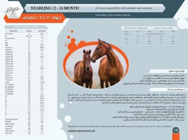 خوراک آجیلی کره ۱۲ تا ۲۴ ماهه - Image 2