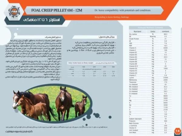 خوراک آجیلی کره ۶ تا ۱۲ ماهه - Image 2