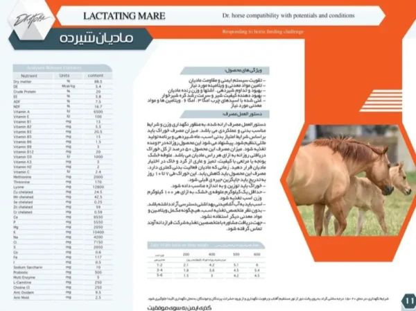 خوراک آجیلی مادیان شیرده - Image 2