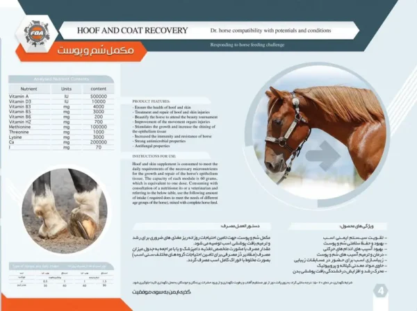 مکمل سم و پوست اسب 2 کیلوگرمی - Image 2