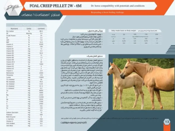 خوراک آجیلی کره ۲ هفتگی تا ۶ ماهه - Image 2