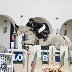 آموزش سوارکاری مقدماتی خصوصی